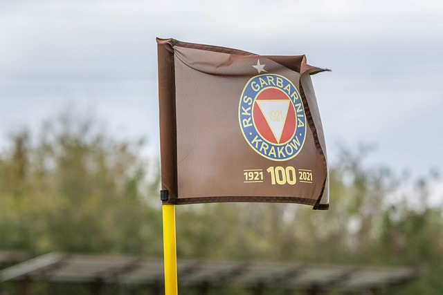 保护住Bi 保护住Bi