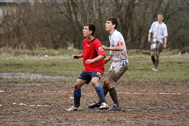 的关键因素 的关键因素