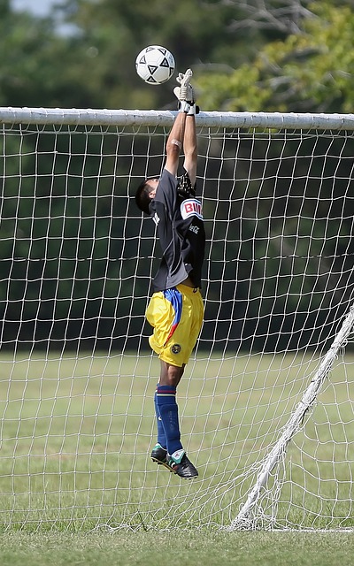 都会有各国 都会有各国