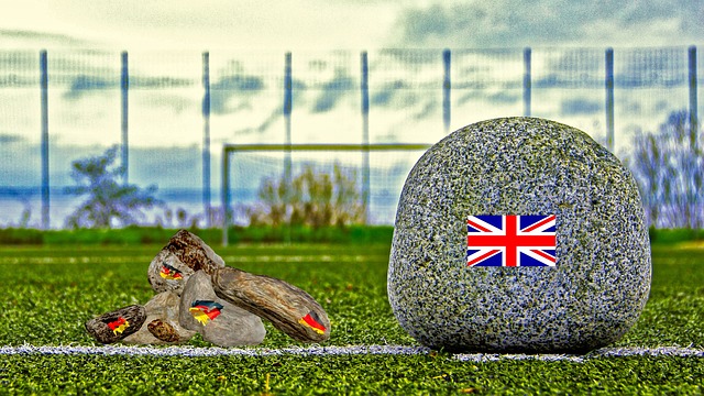 球队带来新 球队带来新