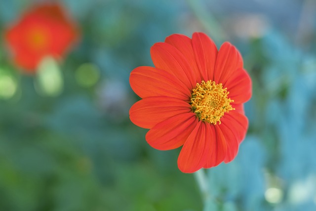 中超第4輪大連人1-0天津津門虎  汪晉賢中柱丹尼爾森破門.