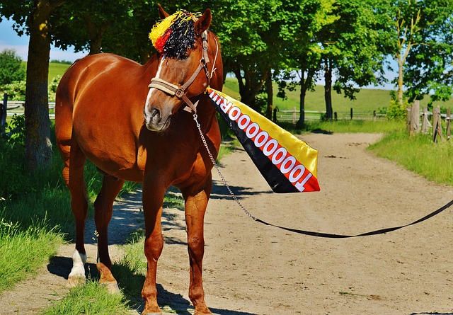 [台球]周跃龙不敌希金斯 无缘八强.