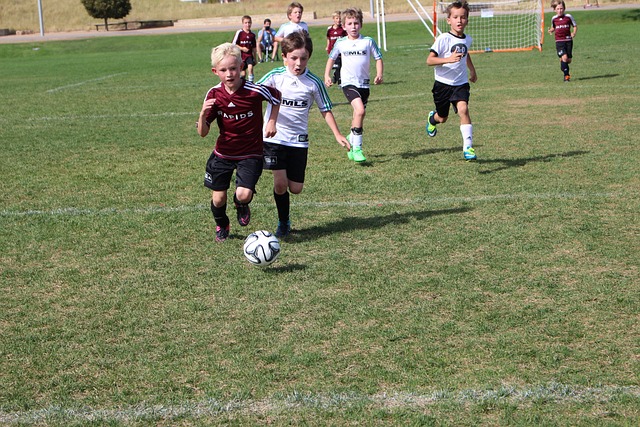 关心的九大 关心的九大