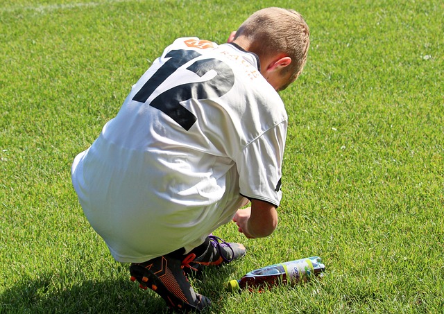 这不仅展示 这不仅展示