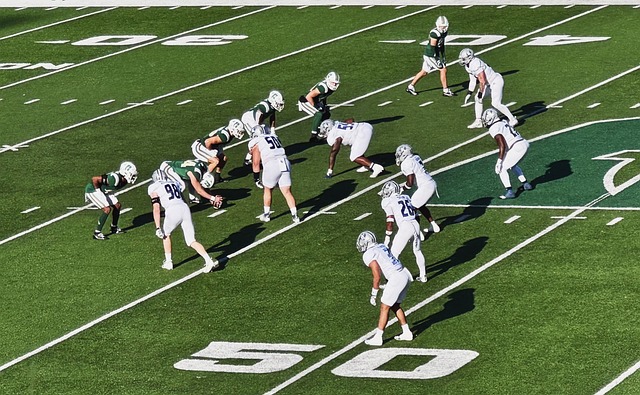 探讨鹈鹕面 探讨鹈鹕面